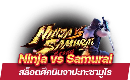 Ninja vs Samurai