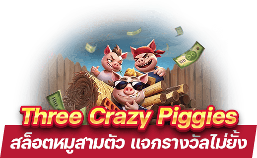 Three Crazy Piggies