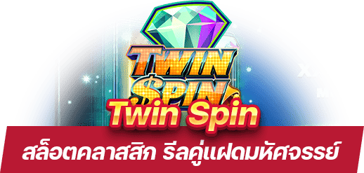 Twin Spin